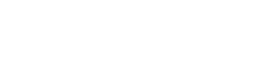 Socket
